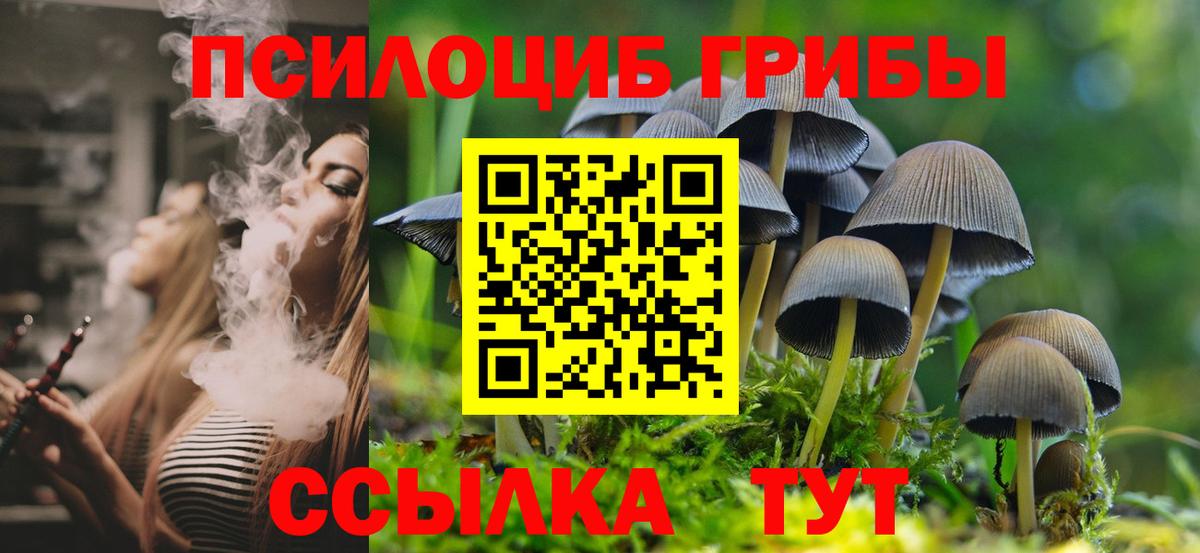 Улан-Удэ  Галлюциногенные грибы прущие грибы  Галлюциногенные грибы Psilocybine cubensis  что такое   Вход с VPN 