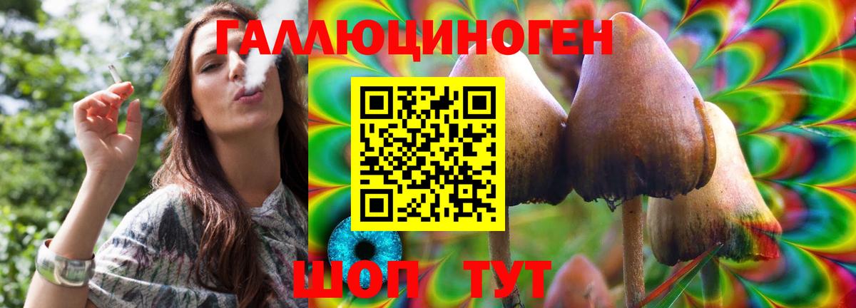 Галлюциногенные грибы прущие грибы Улан-Удэ